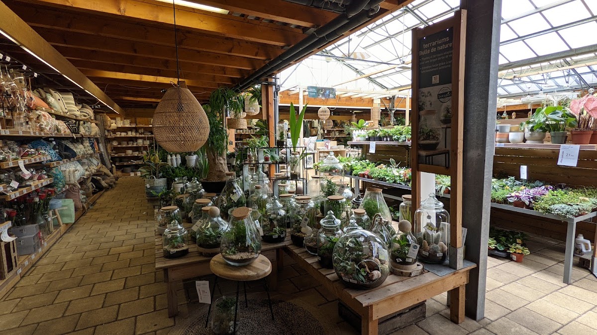 botanic - photo 2
